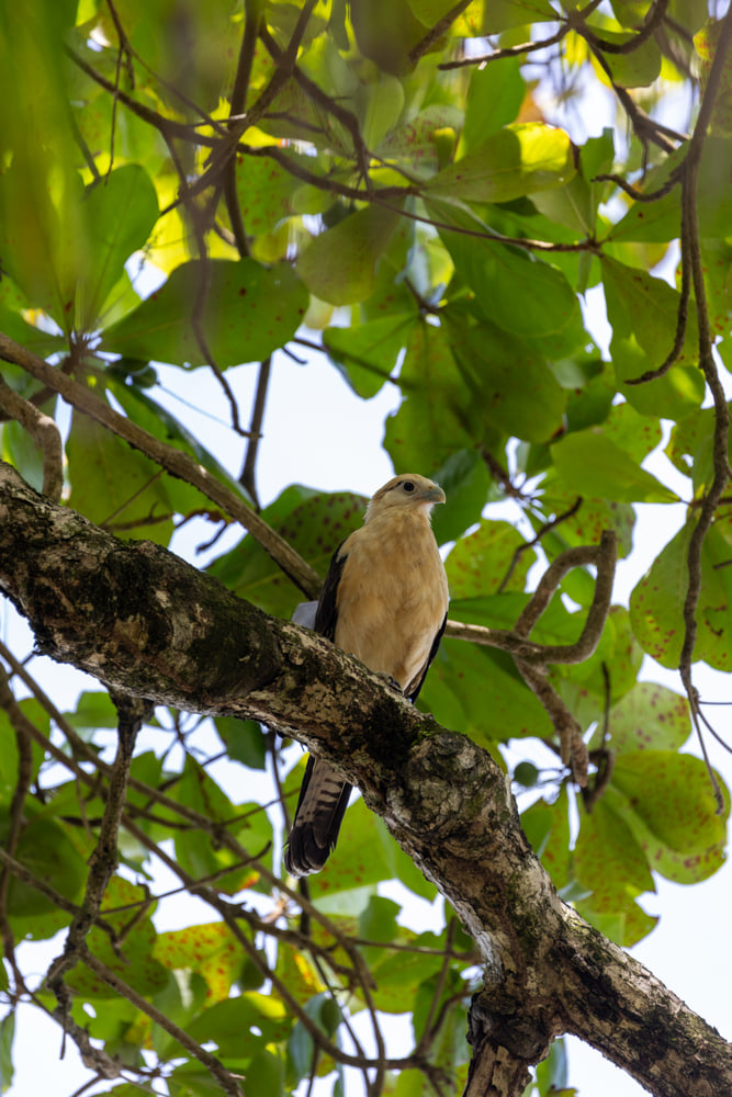 Costa Rica