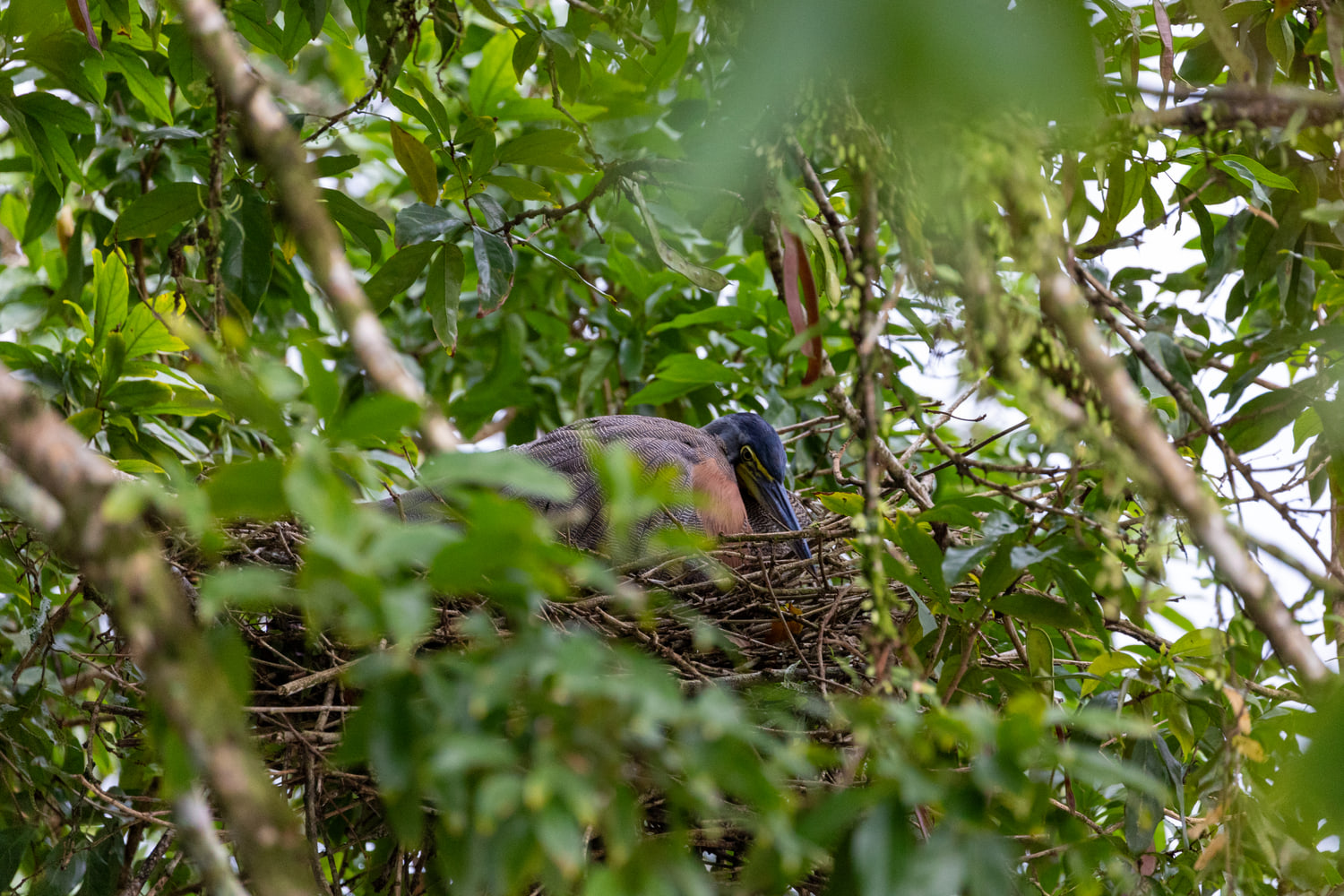 Costa Rica