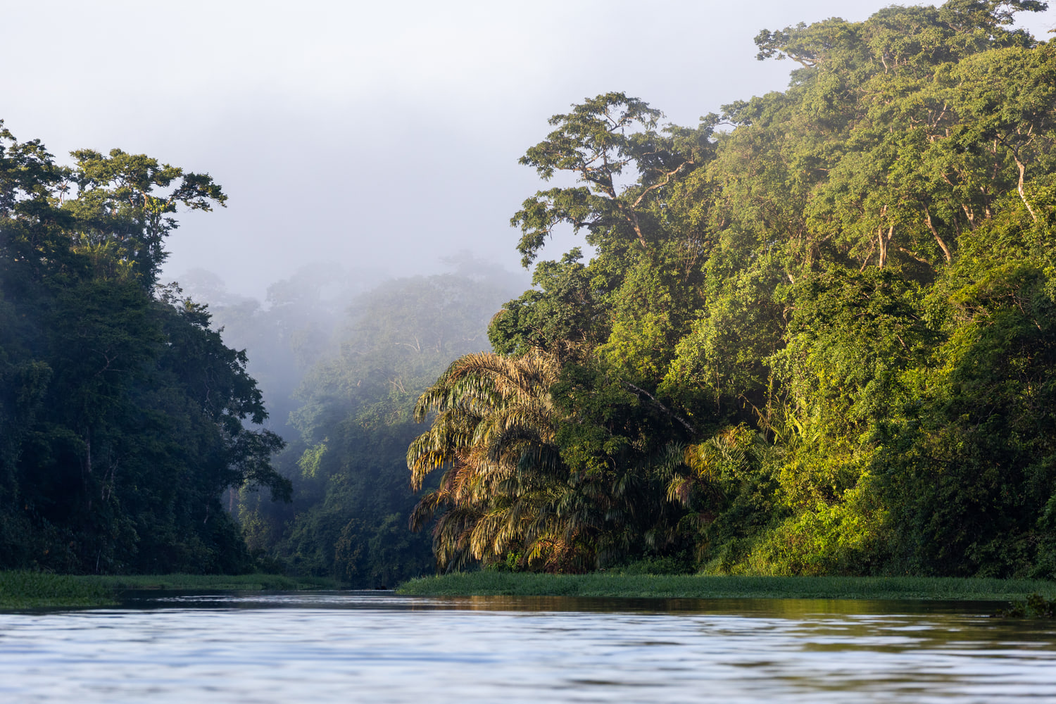 Misty river