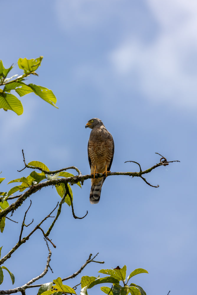 Costa Rica