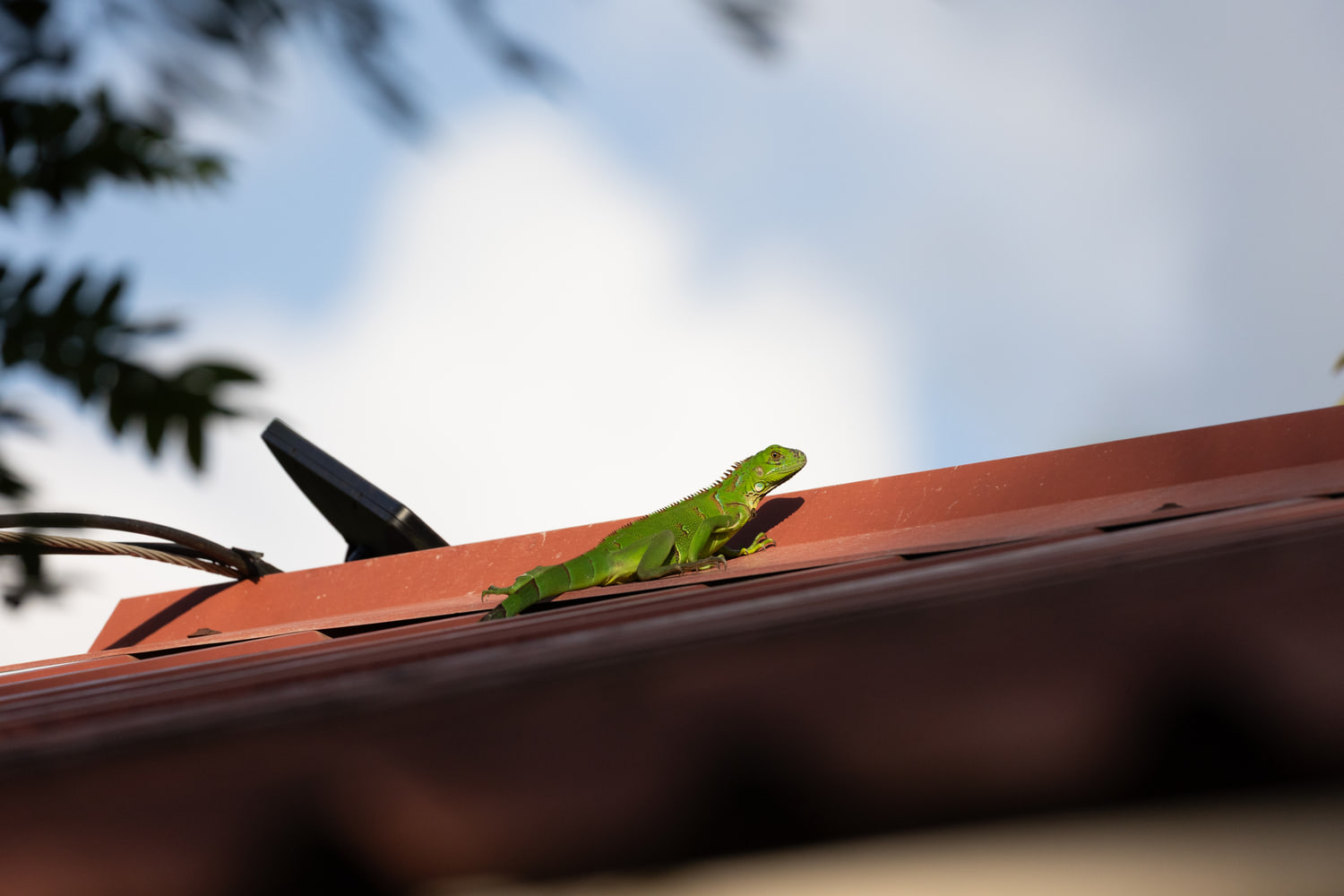 Costa Rica