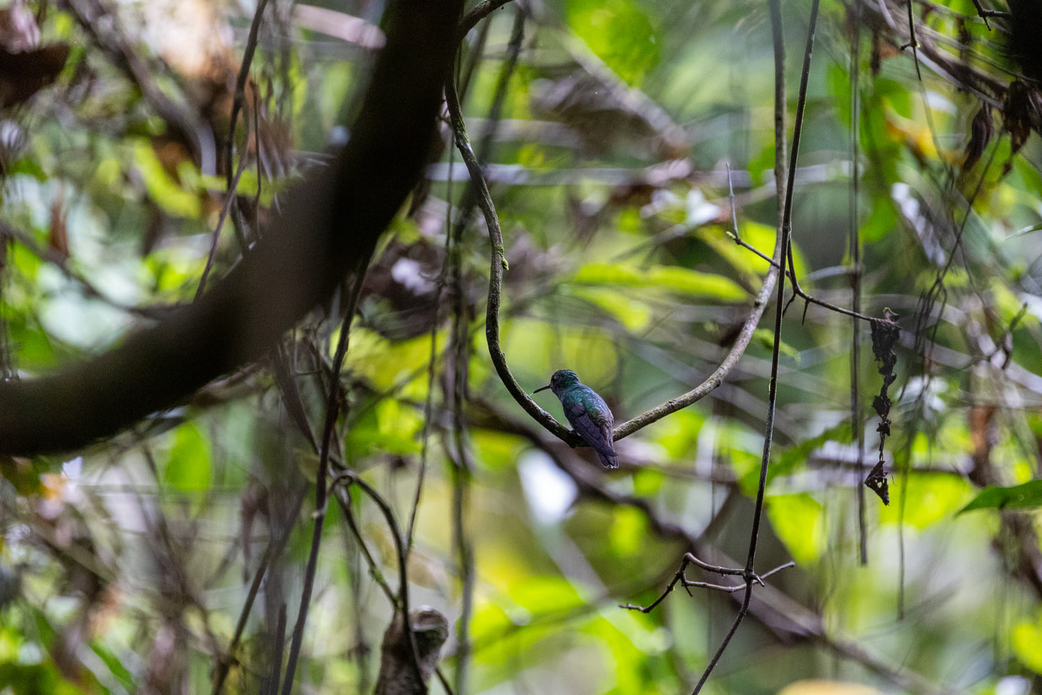 Costa Rica