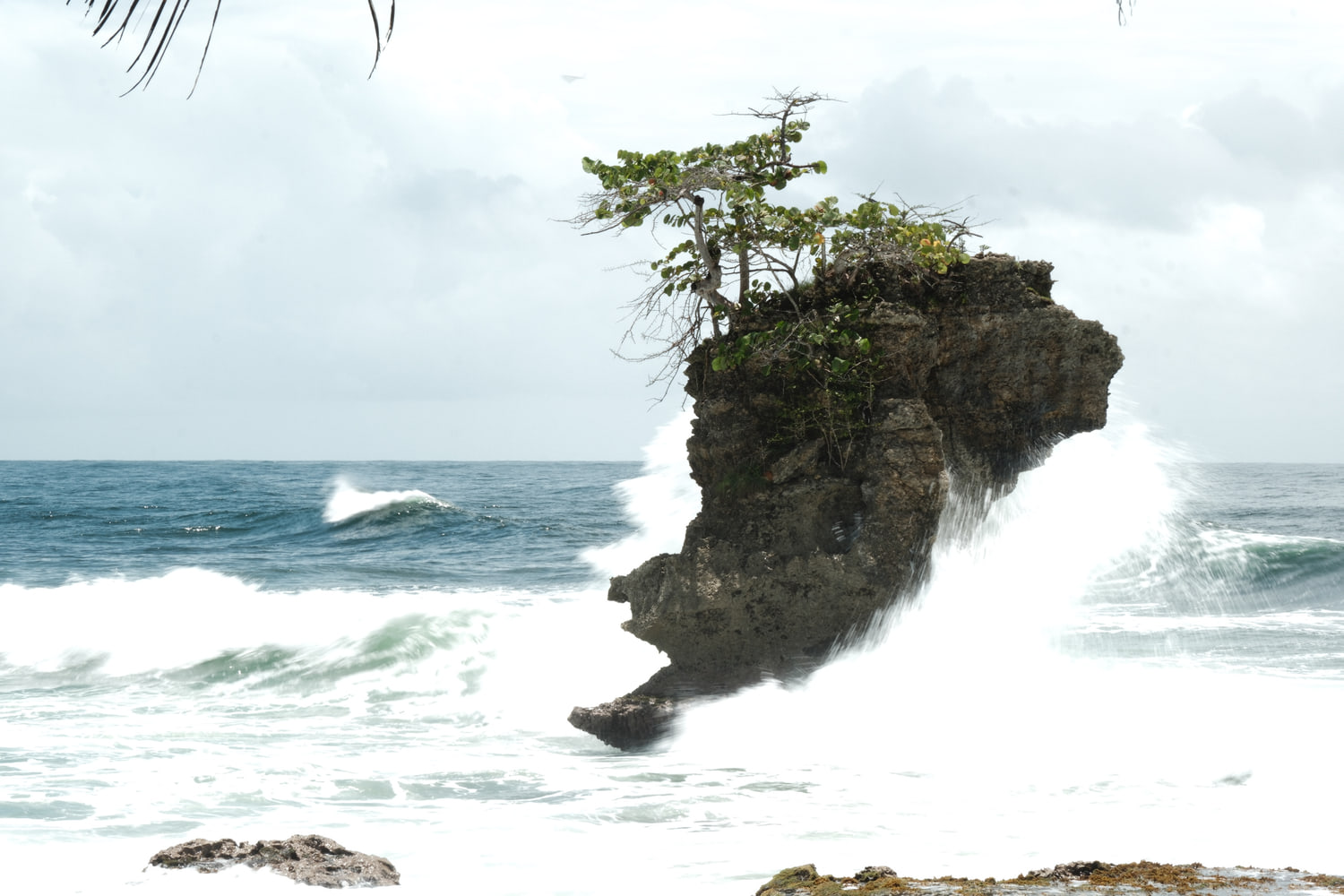 Caribbean coast