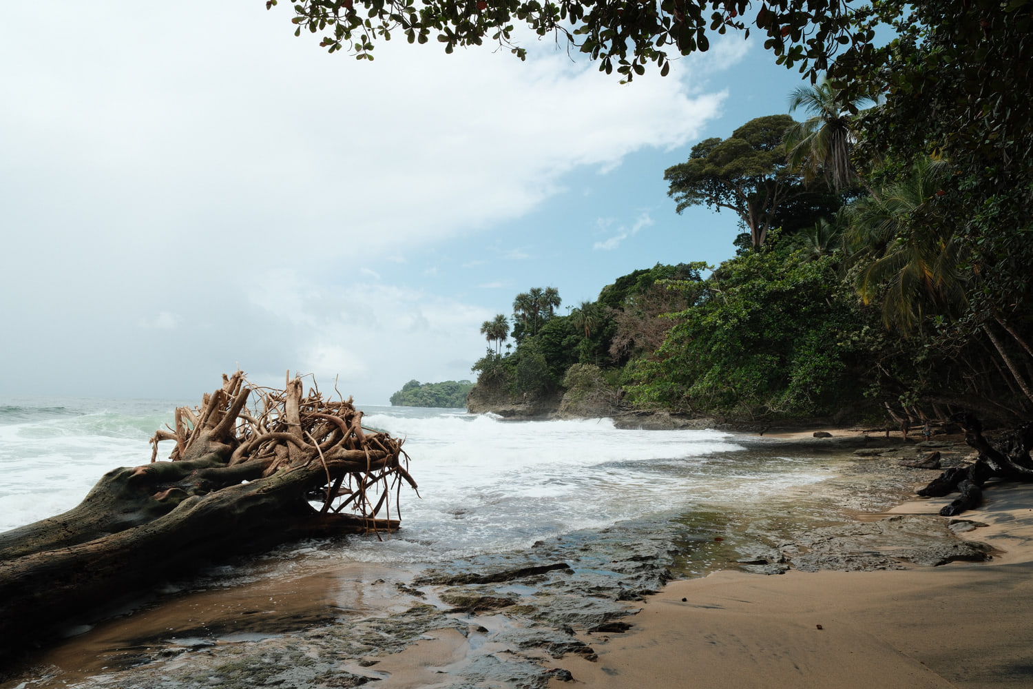 Caribbean coast