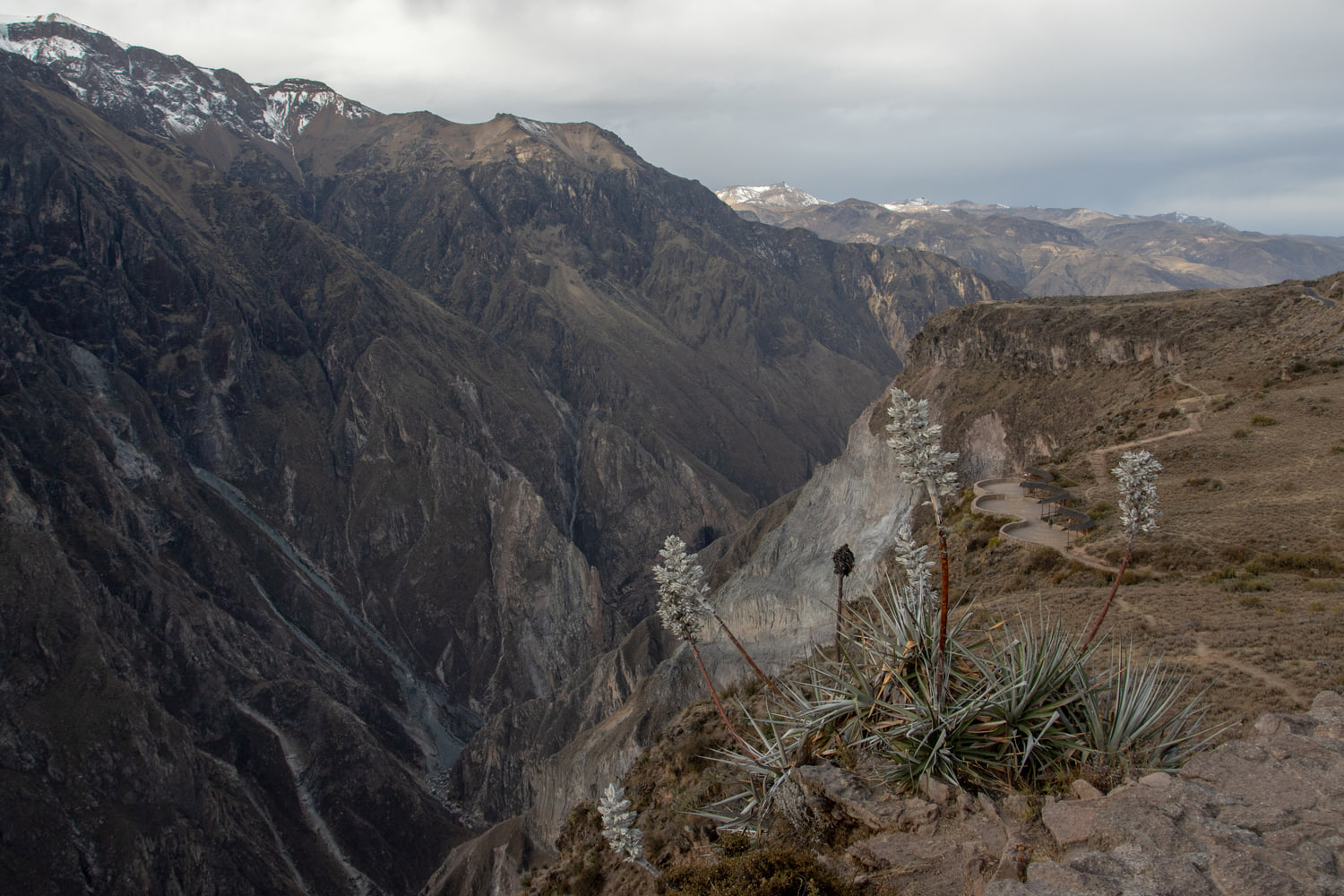 Colca Canyon, Peru