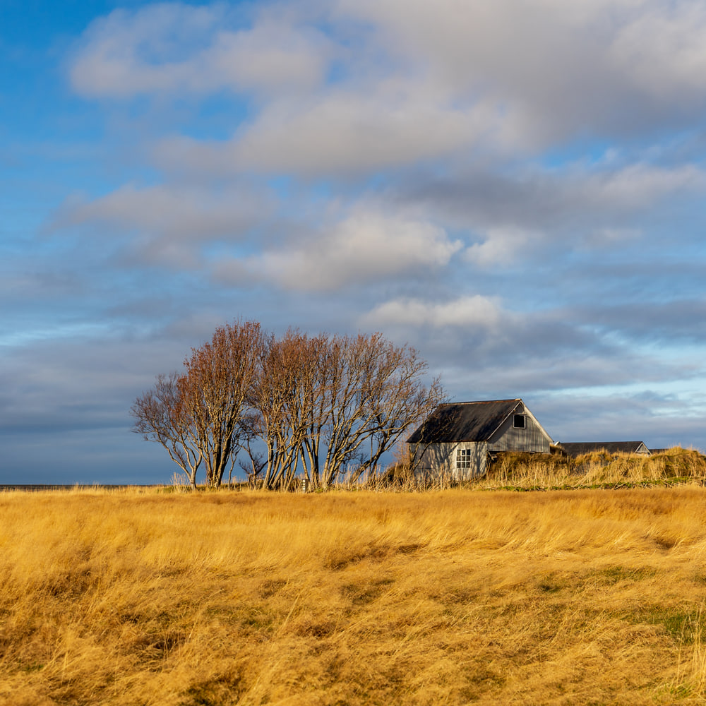 South coast, Iceland