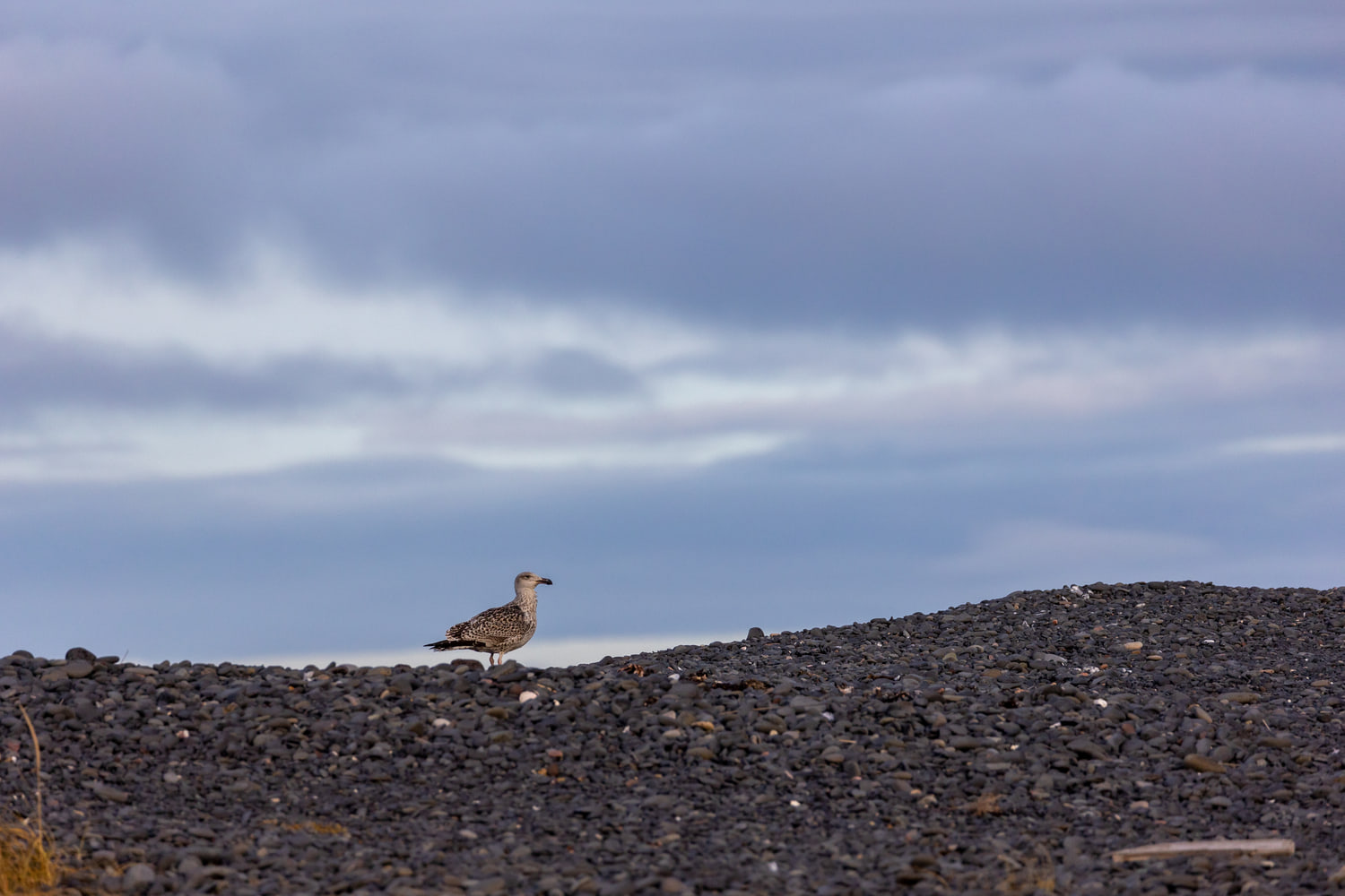 Snæfellsnes peninsula