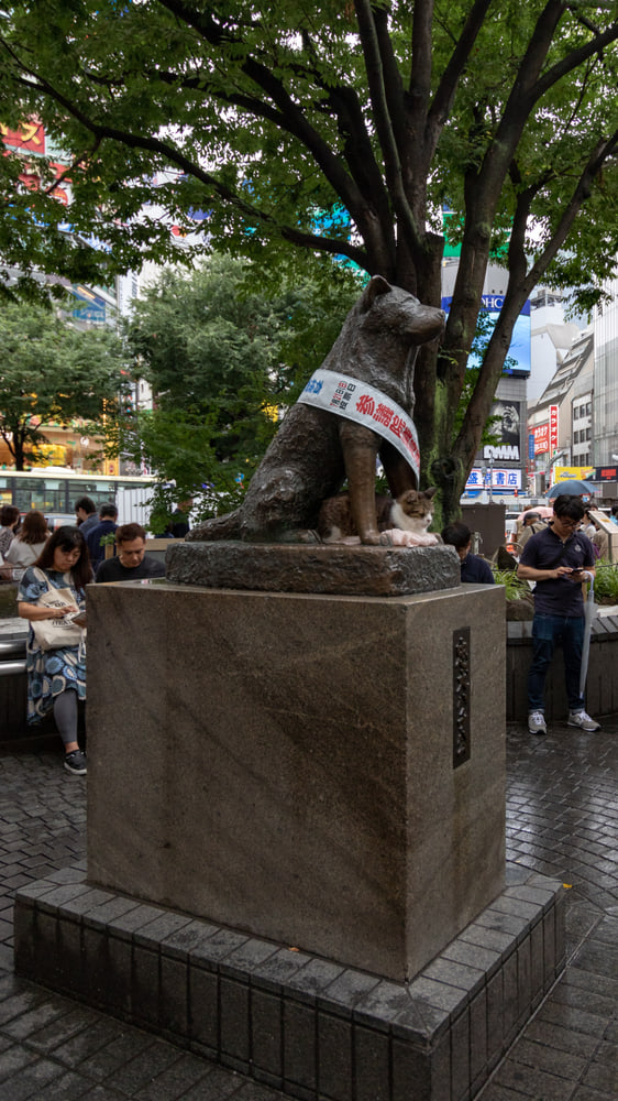 Hachikō, Shibuya, Tokyo