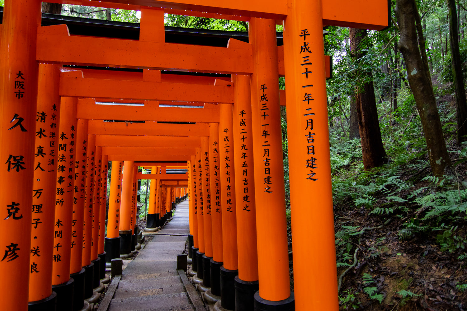 Fushimi Inari Taisha, Kyoto
