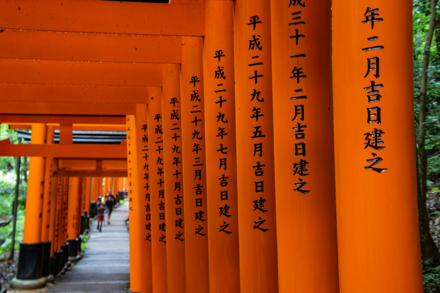 Fushimi Inari Taisha, Kyoto